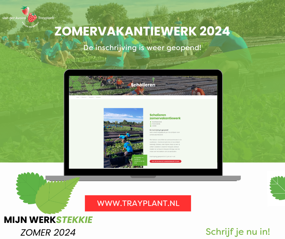Zomervakantiewerk (5)